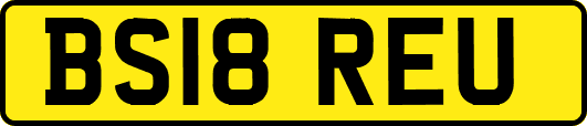 BS18REU