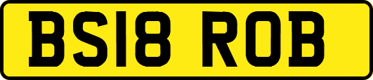 BS18ROB