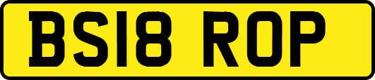 BS18ROP