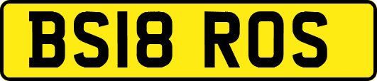 BS18ROS