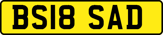 BS18SAD