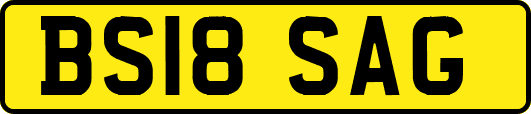 BS18SAG