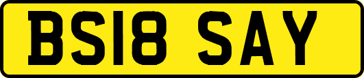 BS18SAY