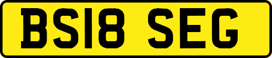 BS18SEG