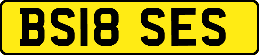 BS18SES