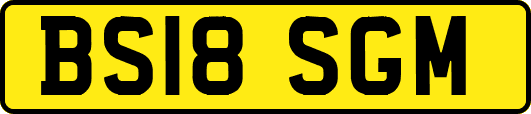 BS18SGM