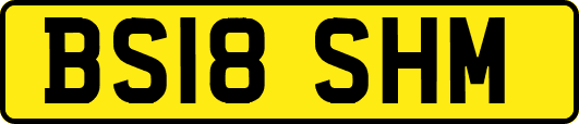 BS18SHM