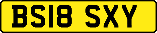 BS18SXY