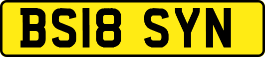 BS18SYN