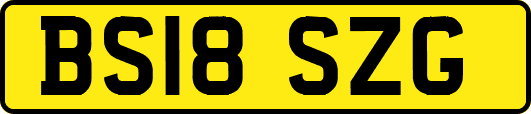 BS18SZG