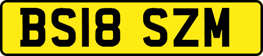BS18SZM