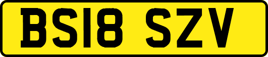 BS18SZV