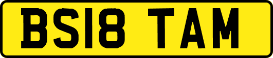 BS18TAM