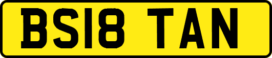 BS18TAN
