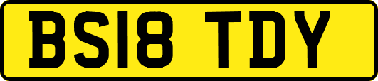 BS18TDY