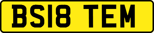BS18TEM