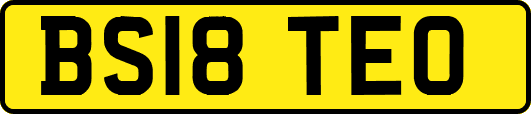 BS18TEO