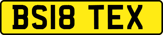 BS18TEX