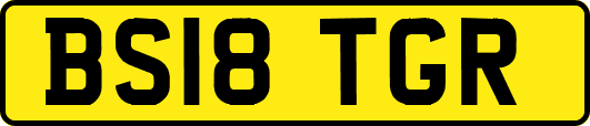 BS18TGR
