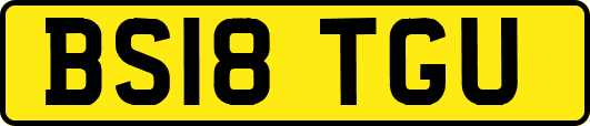 BS18TGU