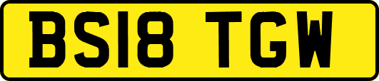 BS18TGW