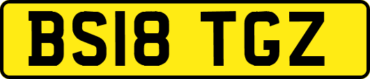 BS18TGZ