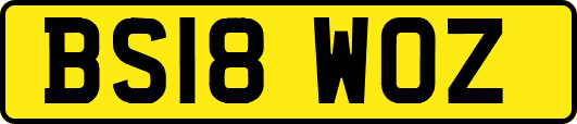 BS18WOZ