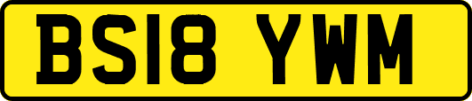 BS18YWM