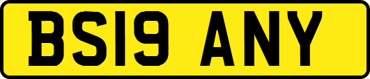 BS19ANY