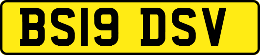 BS19DSV