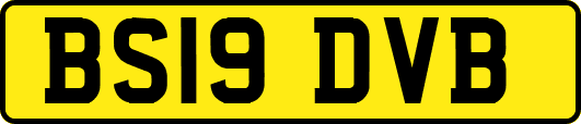 BS19DVB