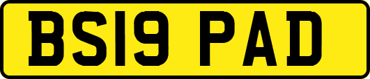 BS19PAD