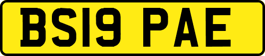 BS19PAE