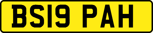 BS19PAH