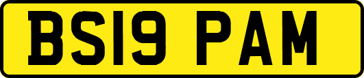 BS19PAM