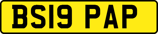 BS19PAP