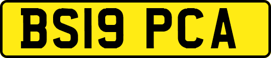 BS19PCA