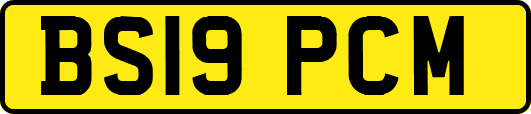 BS19PCM