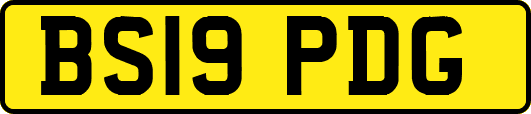 BS19PDG