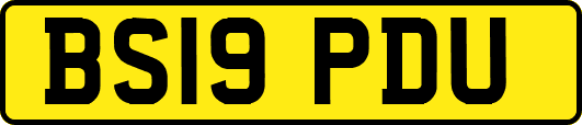 BS19PDU