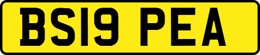 BS19PEA