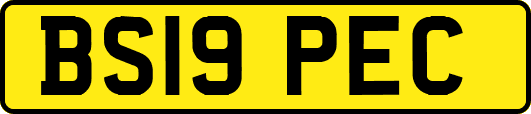 BS19PEC