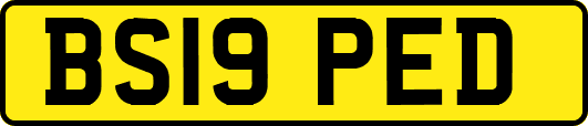 BS19PED