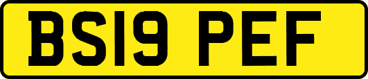 BS19PEF