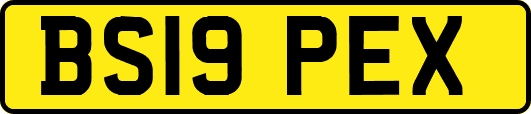 BS19PEX