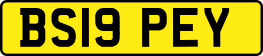 BS19PEY