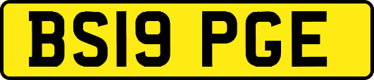 BS19PGE