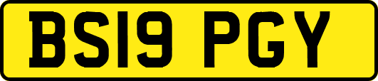 BS19PGY