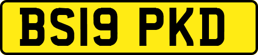 BS19PKD