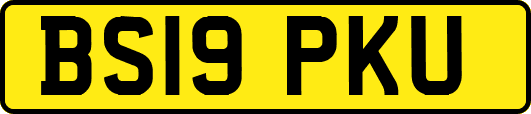 BS19PKU